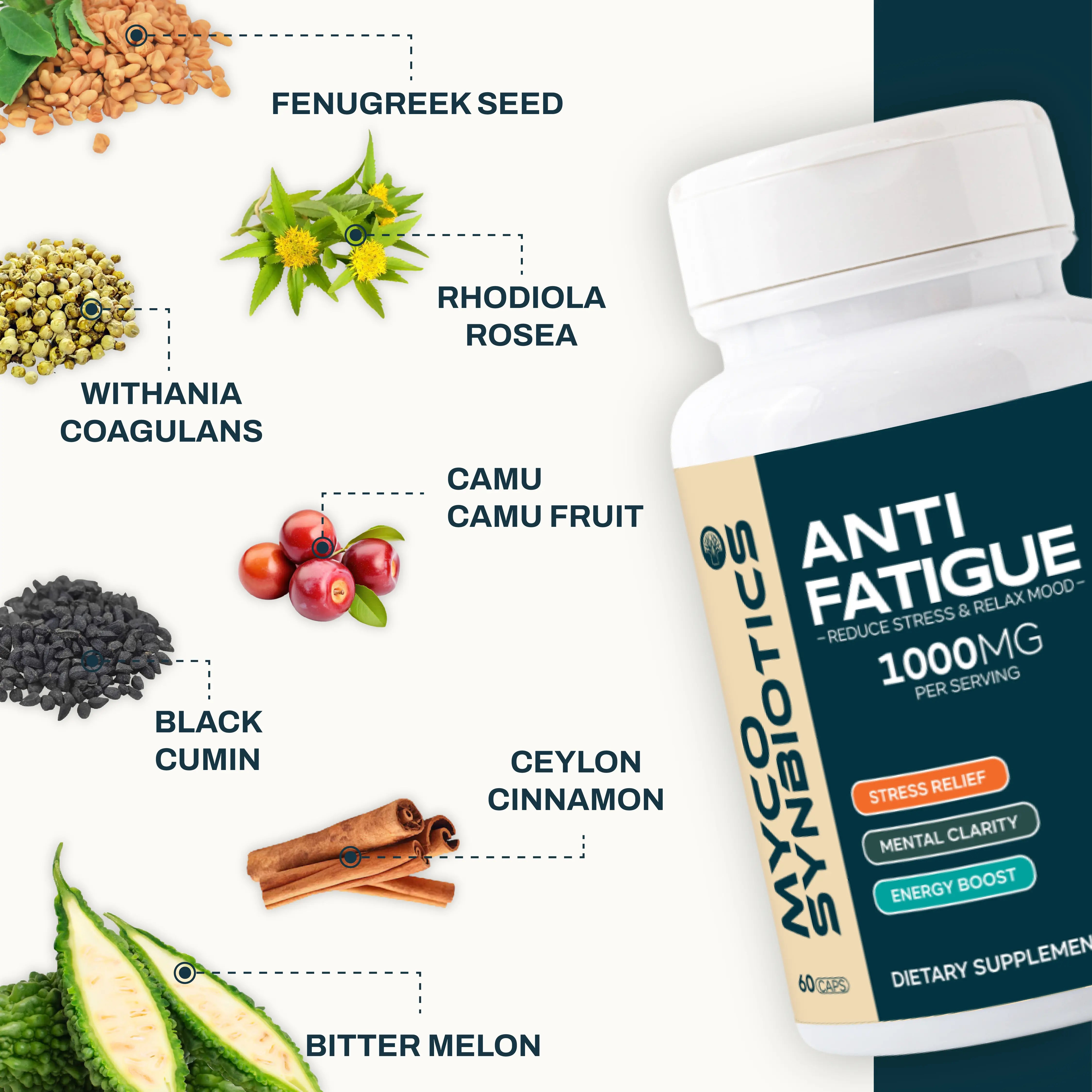 Anti Fatigue Capsules | Stress Support & Energy Boost Supplement