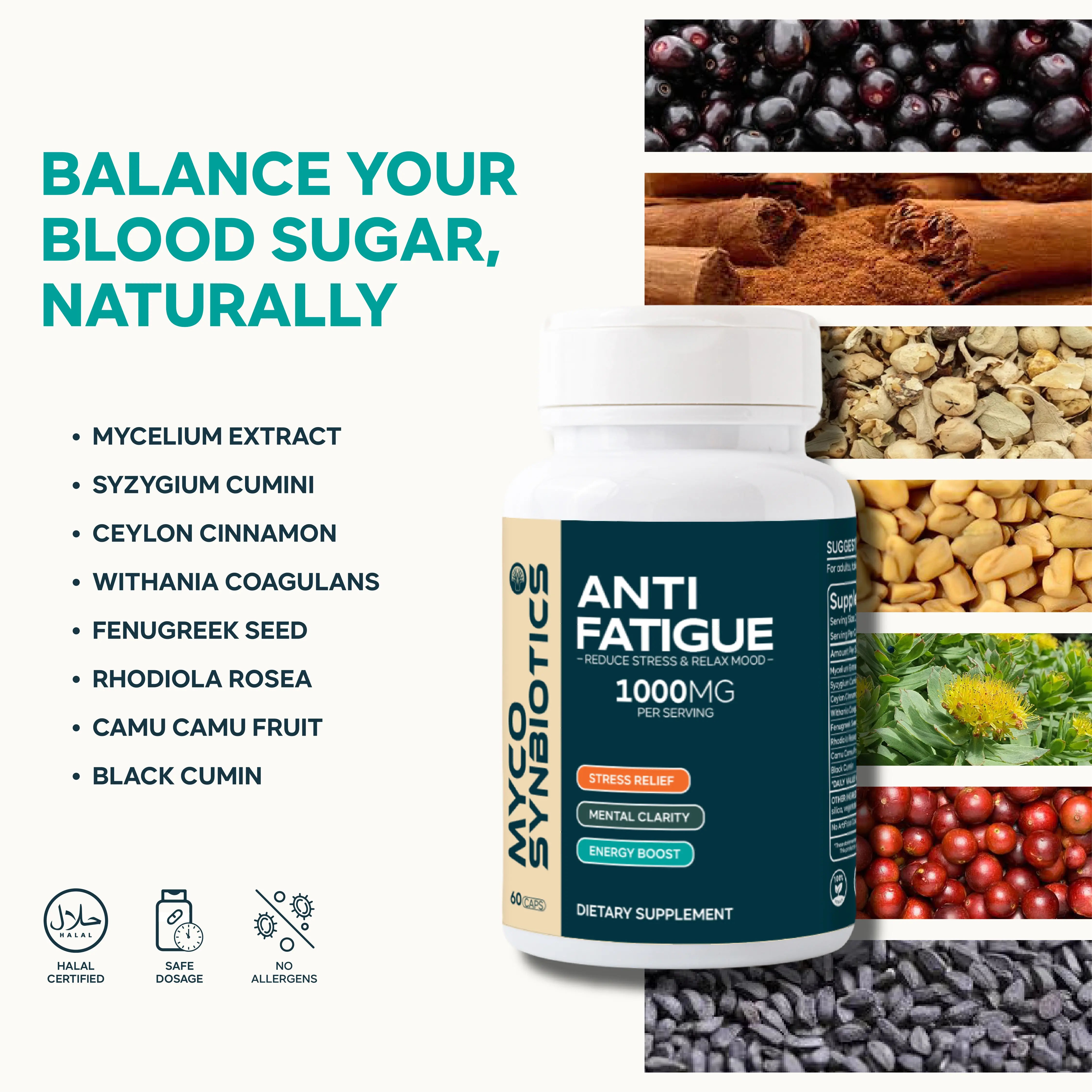 Anti Fatigue Capsules | Stress Support & Energy Boost Supplement