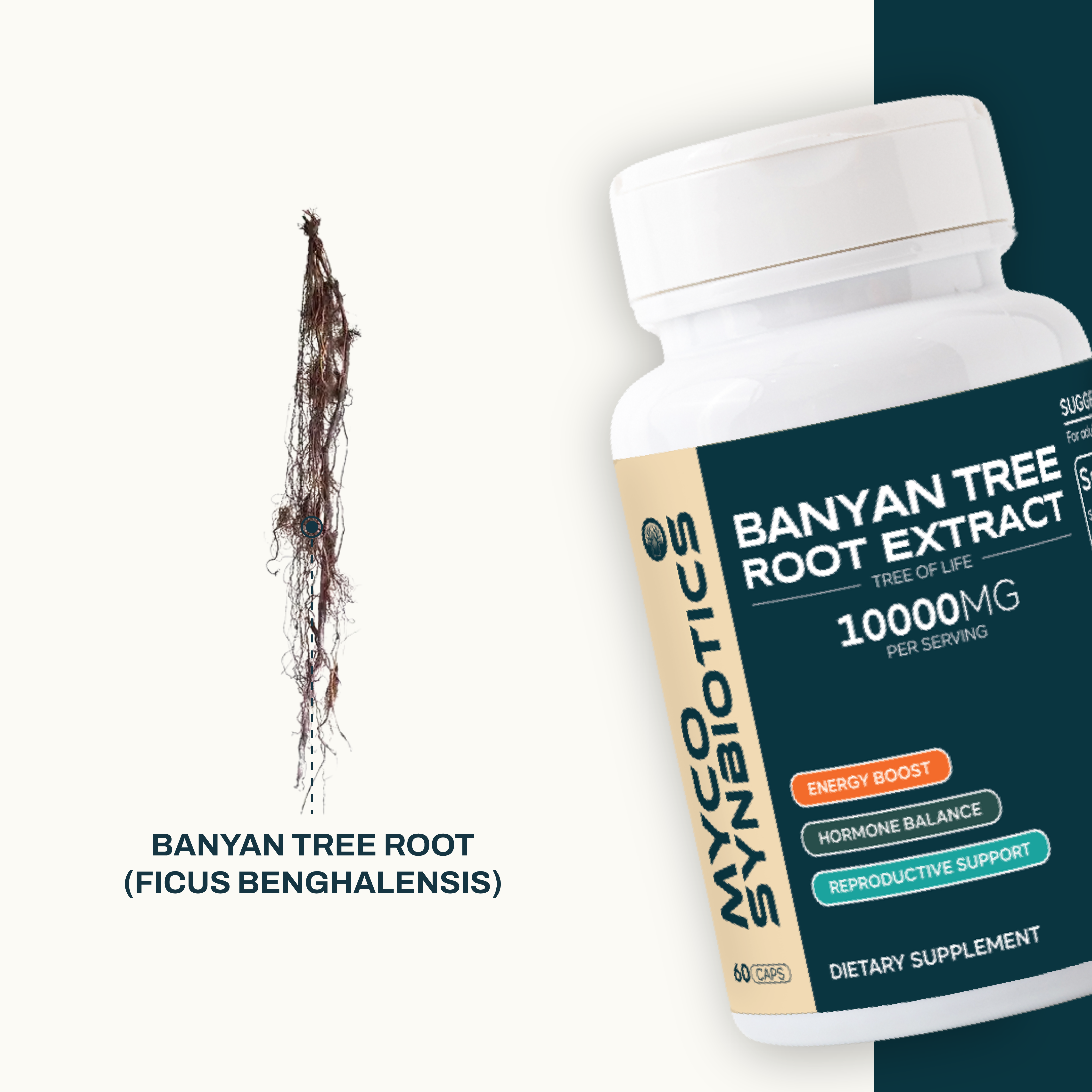 Banyan Tree Extract Capsules – Organic Herbal Support for Hormonal Balance & Natural Energy