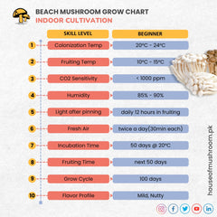 Beech Mushroom Grain Spawn 1.5kg (620)