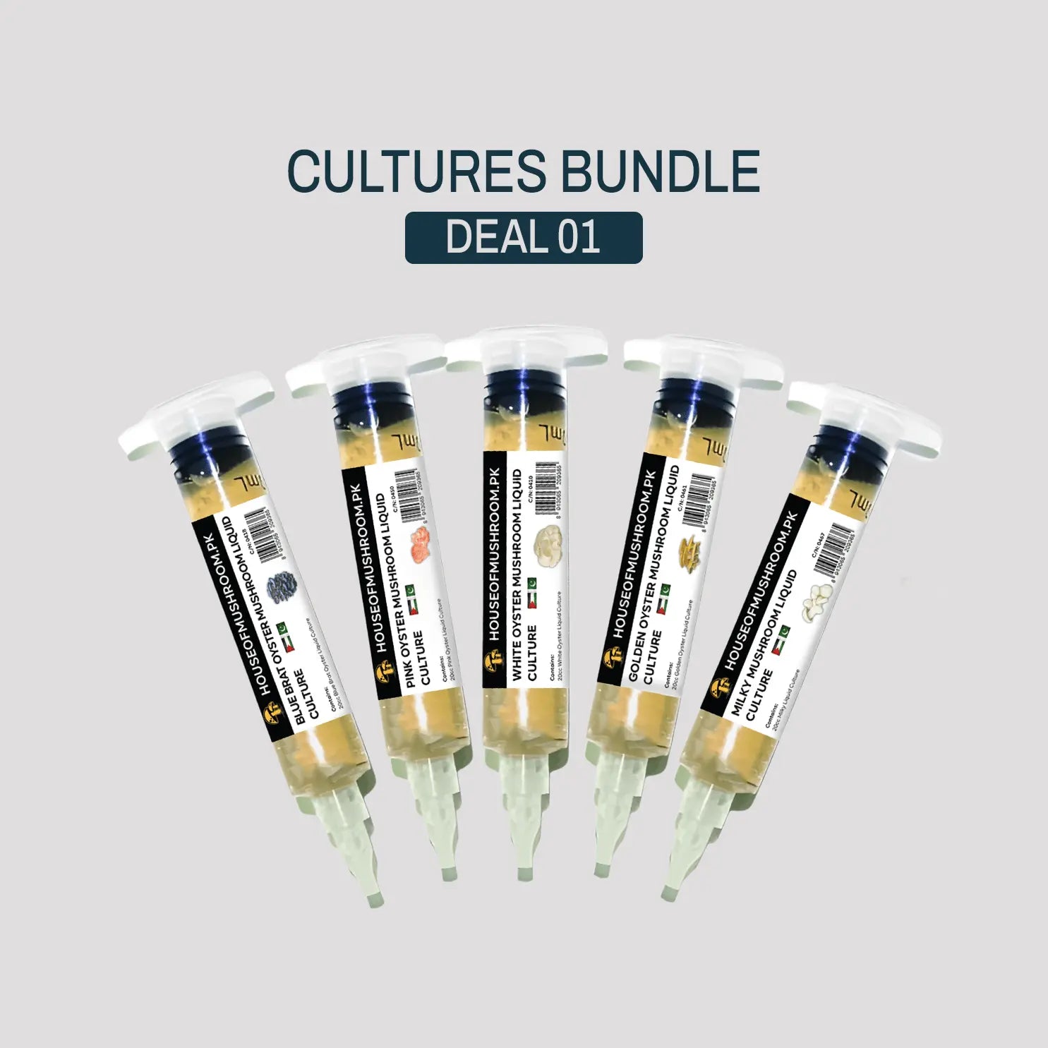 Starter-Kit 5 Liquid Culture Syringes Economy Pack | Premium Mycelium Cultures