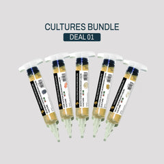 Starter-Kit 5 Liquid Culture Syringes Economy Pack | Premium Mycelium Cultures