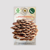 Chestnut Mushroom Grow Kit 1.5kg