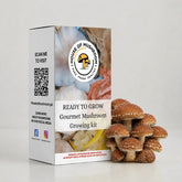 Ready-to-Fruit Mushroom Grow Bag Chestnut