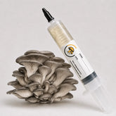 Grey Oyster Mushroom Liquid Culture Syringe – 10cc | Pleurotus Ostreatus Strain (420)