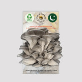 Grey Oyster Mushroom Grow Kit 1.5kg