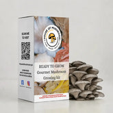 Ready-to-Fruit Mushroom Grow Bag Grey Oyster