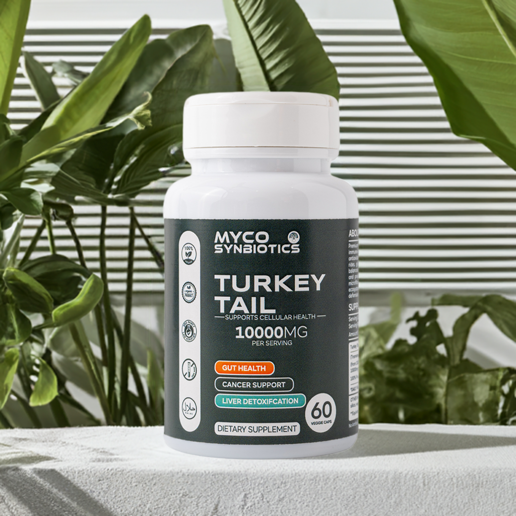 Turkey Tail Mushroom Capsules – Organic Immune Support Supplement