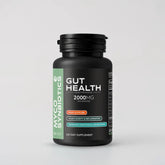 Gut Health Capsules – Natural Digestive & Gut Support