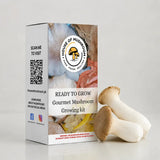 Ready-to-Fruit Mushroom Grow Bag King Oyster