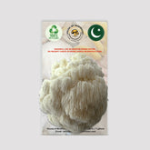 Lion's Mane Mushroom Grow Kit 1.5kg