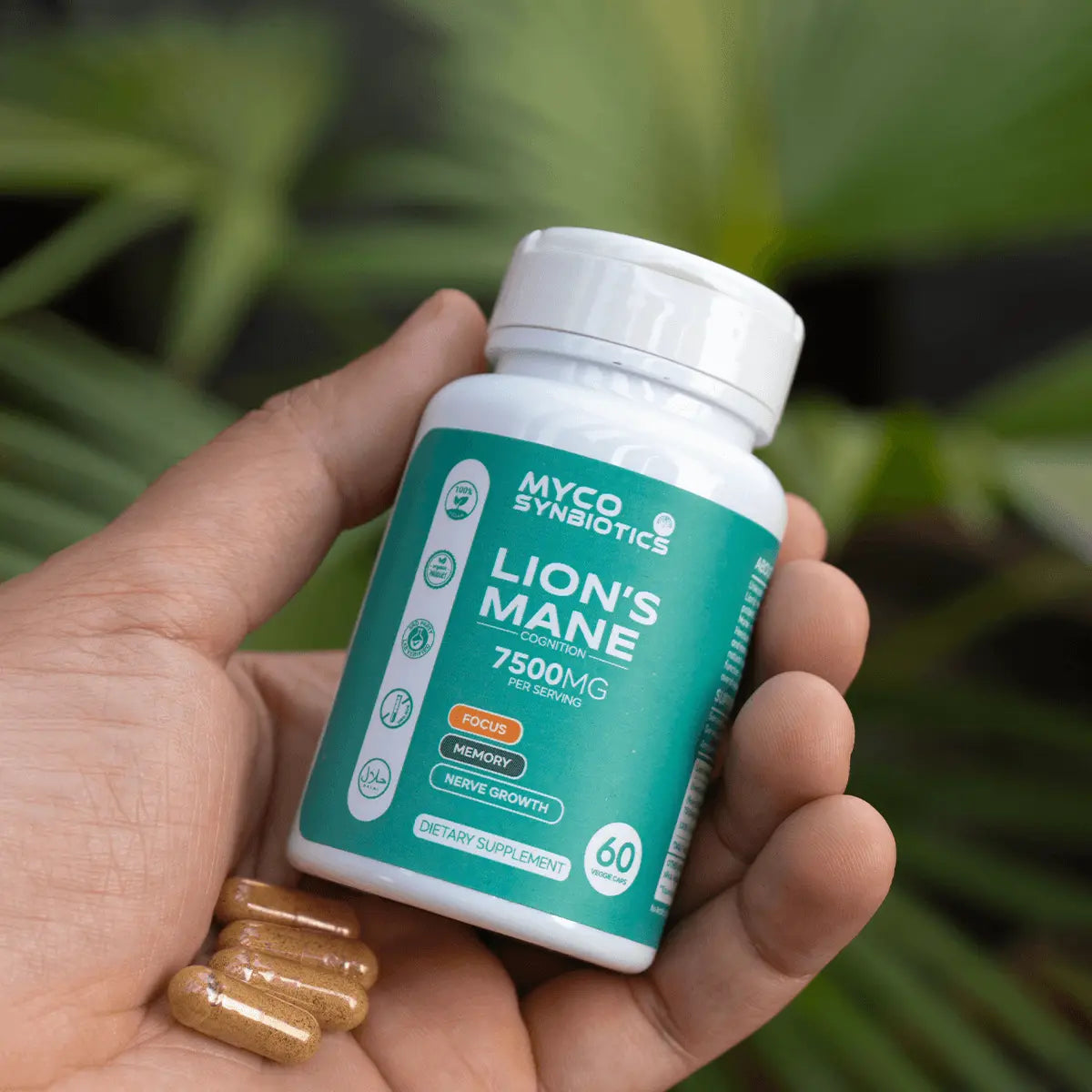 Lion's Mane Mushroom Capsules – Organic Brain-Health Supplement