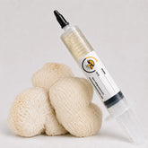 Lion's Mane Mushroom Liquid Culture – 10cc Syringe | Hericium Erinaceus Strain (110)