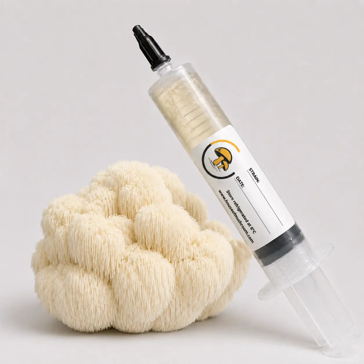 Lion's Mane Mushroom Liquid Culture – 10cc Syringe | Hericium Erinaceus Holland Strain (118)