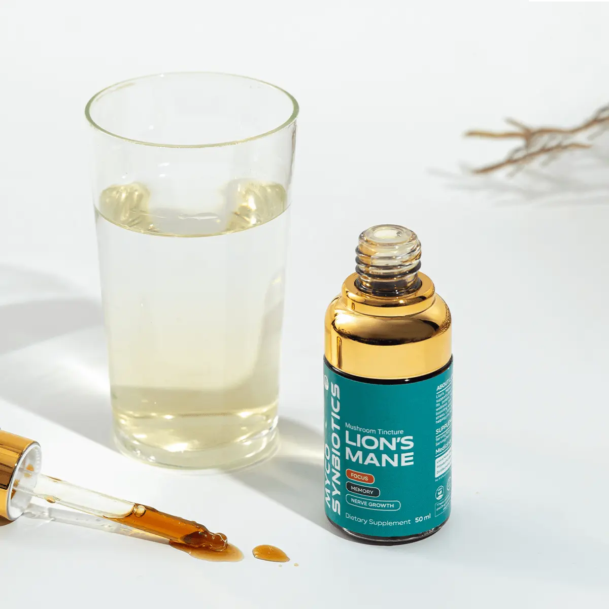 Lion's Mane Mushroom Extract – Organic & Dual Extract for Brain Health