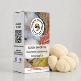 Ready-to-Fruit Mushroom Grow Bag Lion's Mane