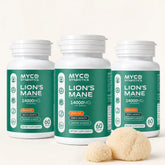Lion's Mane Mushroom Capsules 3 Pack Bundle for Long Term Brain Health Support