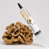 Maitake Mushroom Liquid Culture – 10cc Syringe | Grifola Frondosa Strain (170)