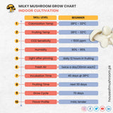 Milky Mushroom Grain Spawn 1.5kg (466)