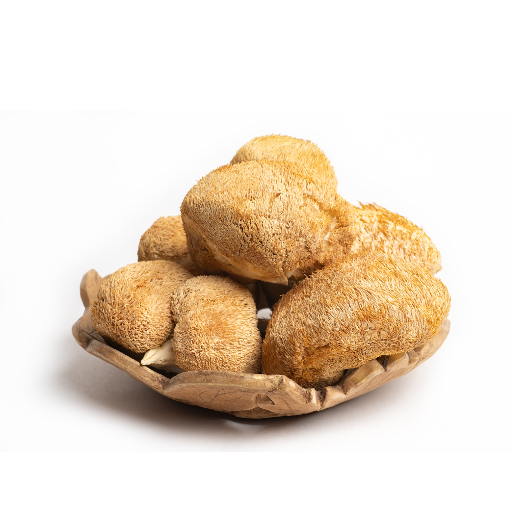 Lion’s Mane Mushroom Raw Powder (Hericium erinaceus) Bulk