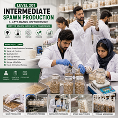 Level 201: Intermediate – Spawn Production – 4 Days Workshop