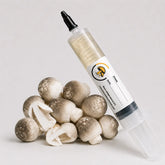Paddy Straw Mushroom Liquid Culture – 10cc Syringe | Volvariella volvacea Strain (472)