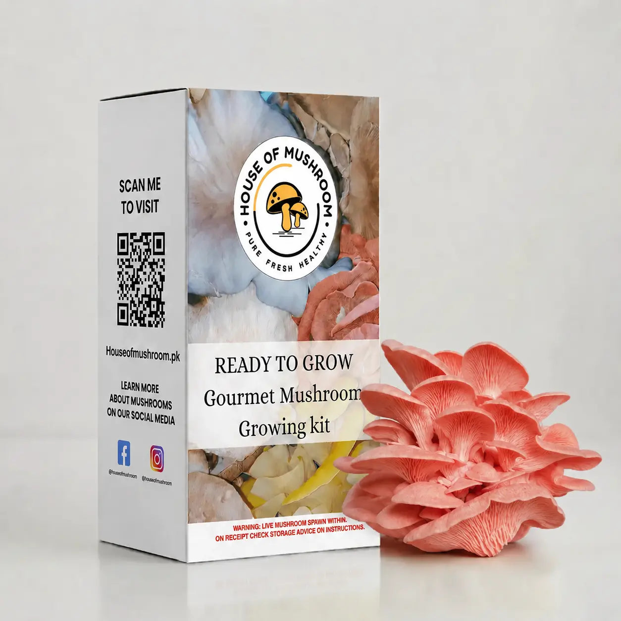 Ready-to-Fruit Mushroom Grow Bag Pink Oyster