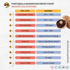 Gaint Portobella Mushroom Grain Spawn 1.5kg (511)