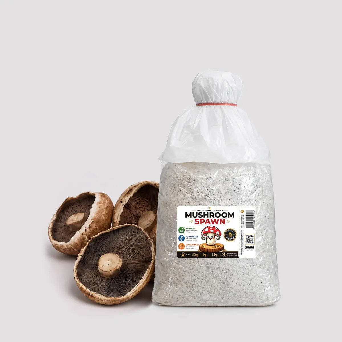 Gaint Portobella Mushroom Grain Spawn 1.5kg (511)