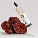 Red Reishi Mushroom Lingzhi Liquid Culture Syringe – 10cc | Ganoderma Lucidum Strain (102)