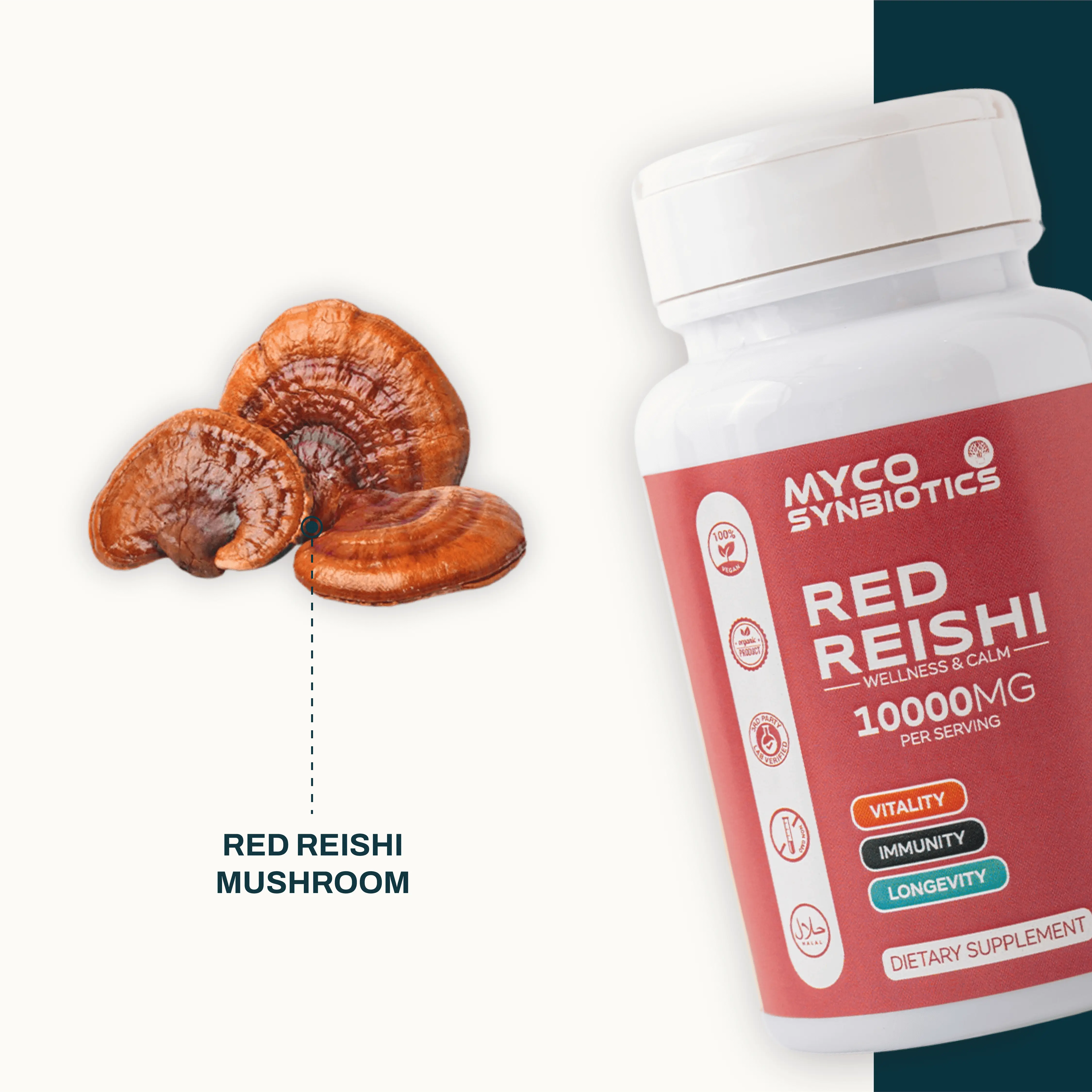 Red Reishi Mushroom Capsules - Organic, Vegan, High Potency Supplement