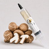 Shiitake Mushroom Liquid Culture – 10cc Syringe | Lentinula edodes Versatile Strain (951)