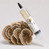 Turkey Tail Mushroom Liquid Culture – 10cc Syringe | Trametes Versicolor Strain (160)