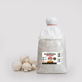 White Button Mushroom Grain Spawn 1.5kg (F599) Holland