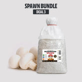 Bulk White Button Mushroom Spawn