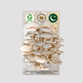 White Oyster Mushroom Grow Kit 1.5kg