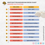 White button mushroon spawn - Grow chart