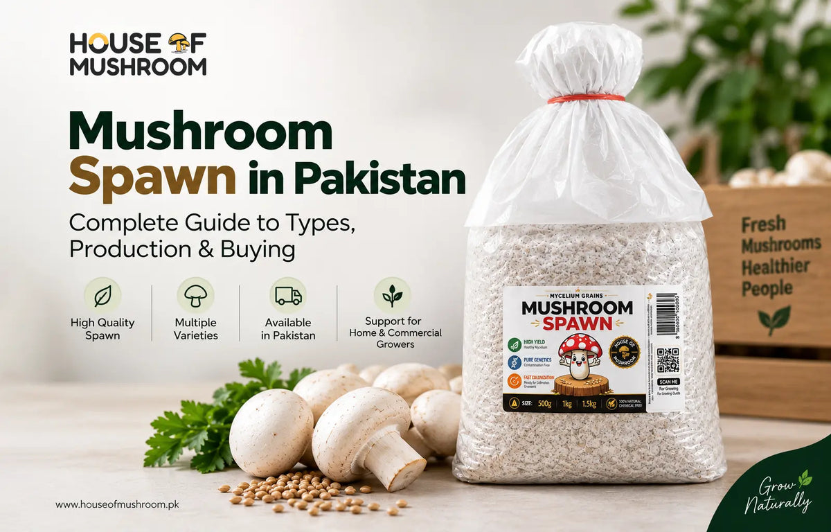 Mushroom Spawn in Pakistan: Complete Guide to Types, Production & Buying