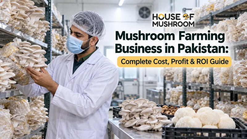 Mushroom Farming Business in Pakistan: Complete Cost, Profit & ROI Guide