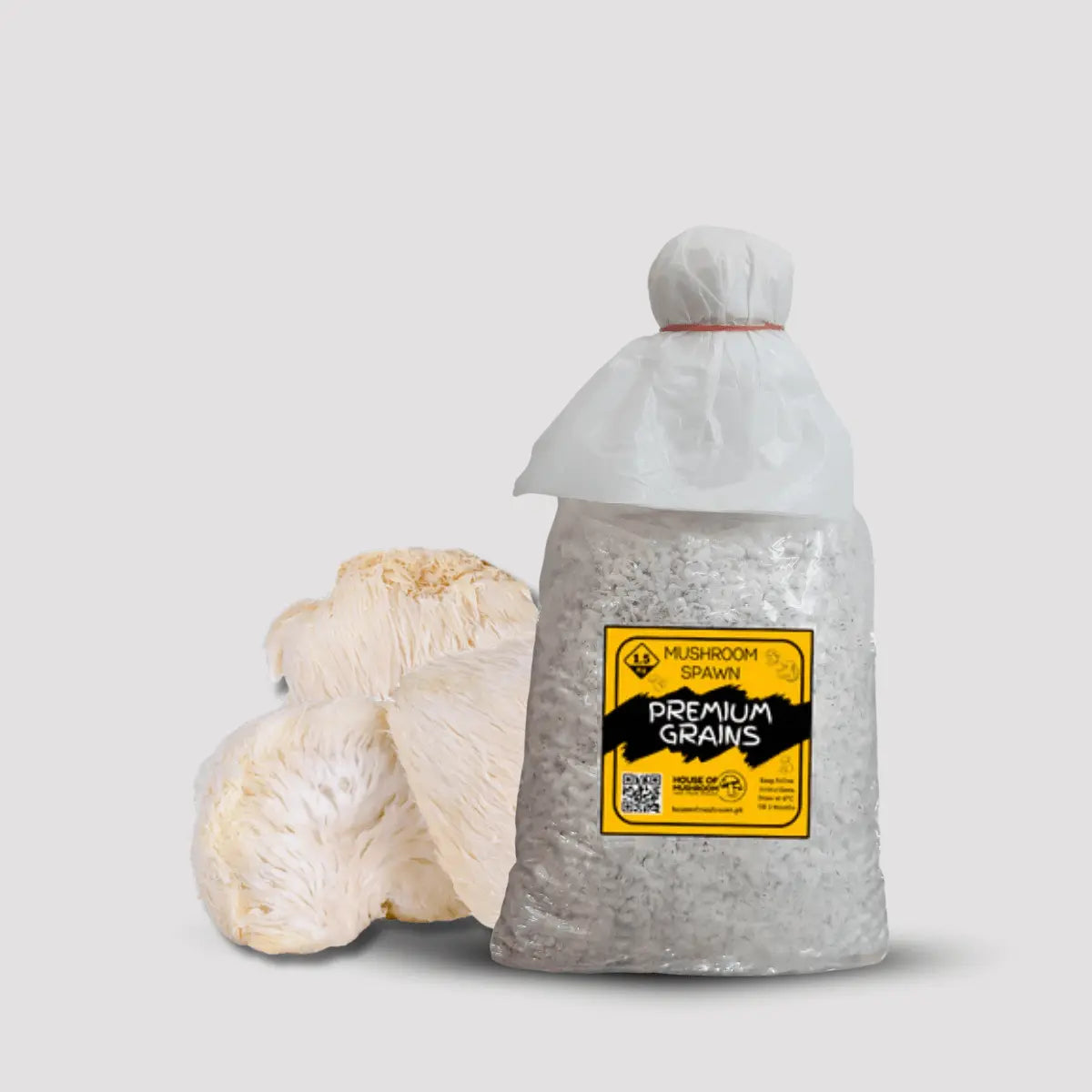Lion's Mane Pride Mushroom Grain Spawn 1.5kg (116)