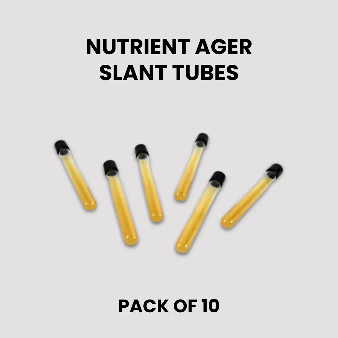Pre-Poured Sterilized Malt Extract Agar Bottles – 10-Pack | Ready Sterile Culture Media