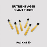 Pre-Poured Sterilized Malt Extract Agar Bottles – 10-Pack | Ready Sterile Culture Media