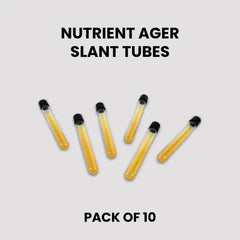Pre-Poured Sterilized Malt Extract Agar Bottles – 10-Pack | Ready Sterile Culture Media