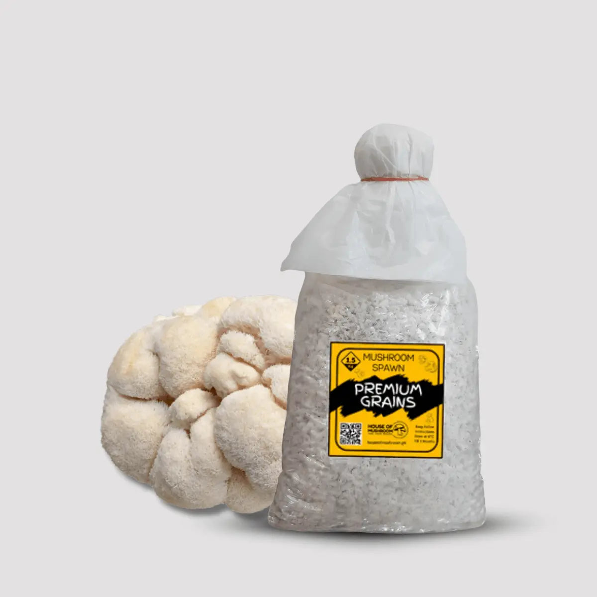 Lion's Mane Mushroom Grain Spawn 1.5kg (118)