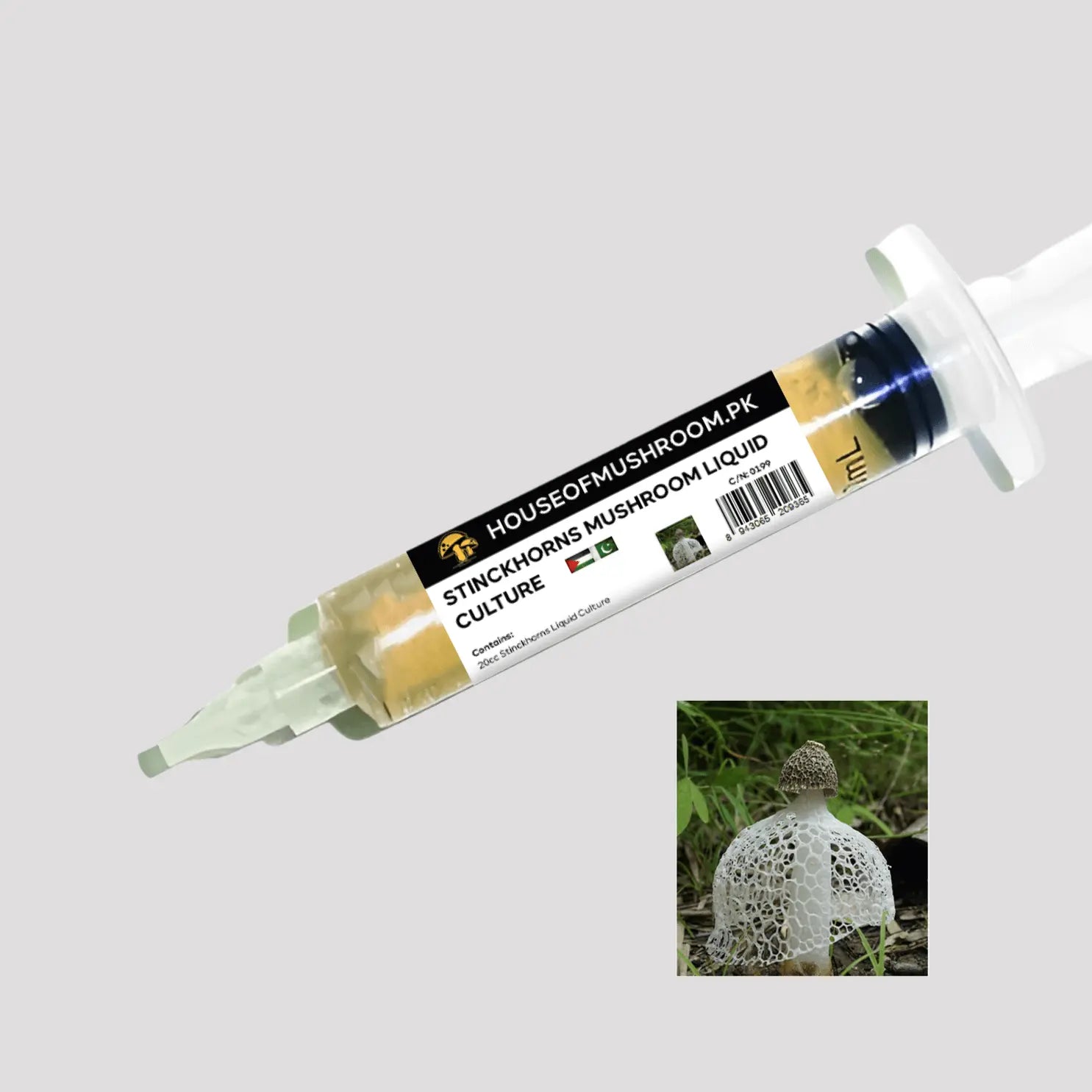 Stinkhorns Mushroom Liquid Culture – 20cc Syringe | Phallaceae Mycelium (C0199)