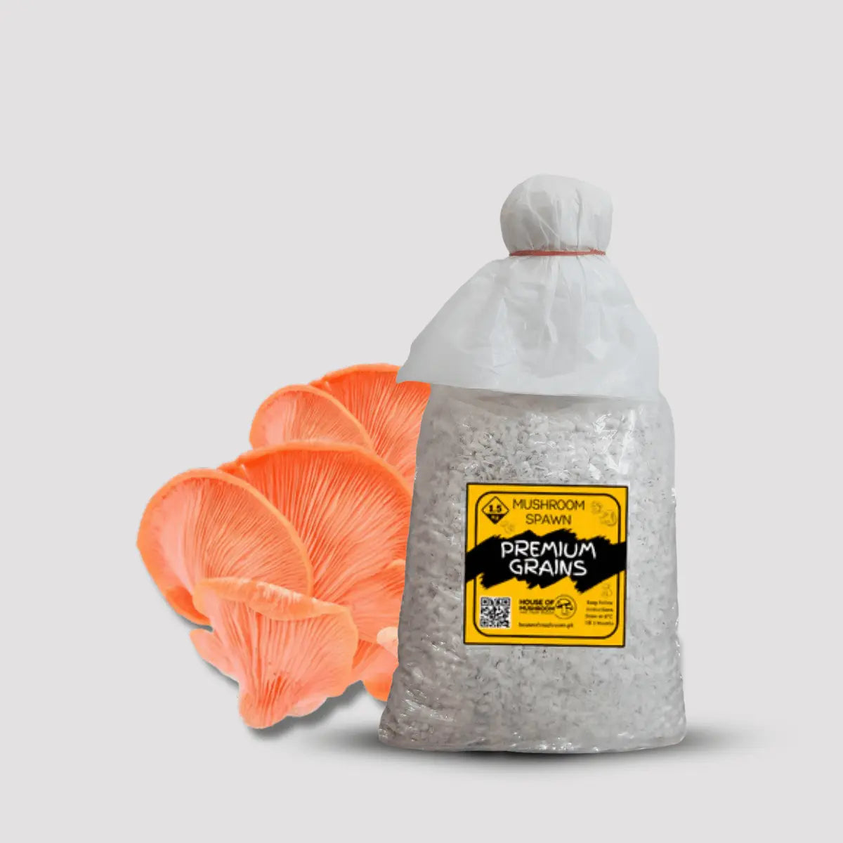 Pink Oyster Mushroom Grain Spawn 1.5kg (450)