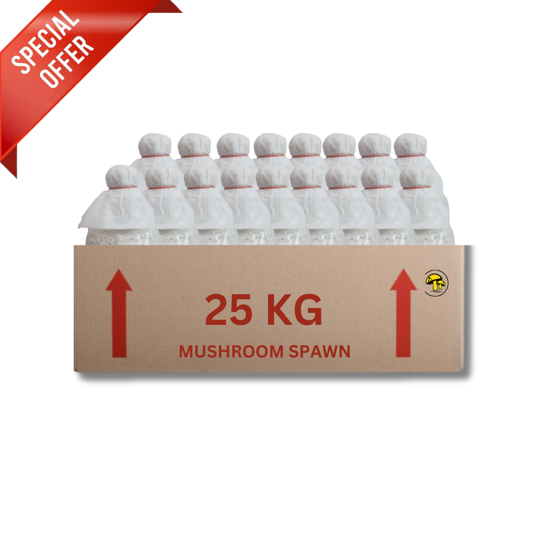 Bulk White Oyster Mushroom Spawn 25kg