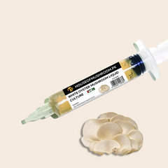 White Oyster Mushroom Liquid Culture Syringe 20cc (C0410)