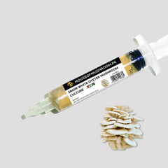 Snow White Oyster Mushroom Liquid Culture – 20cc Syringe | Premium Mycelium (C0411)