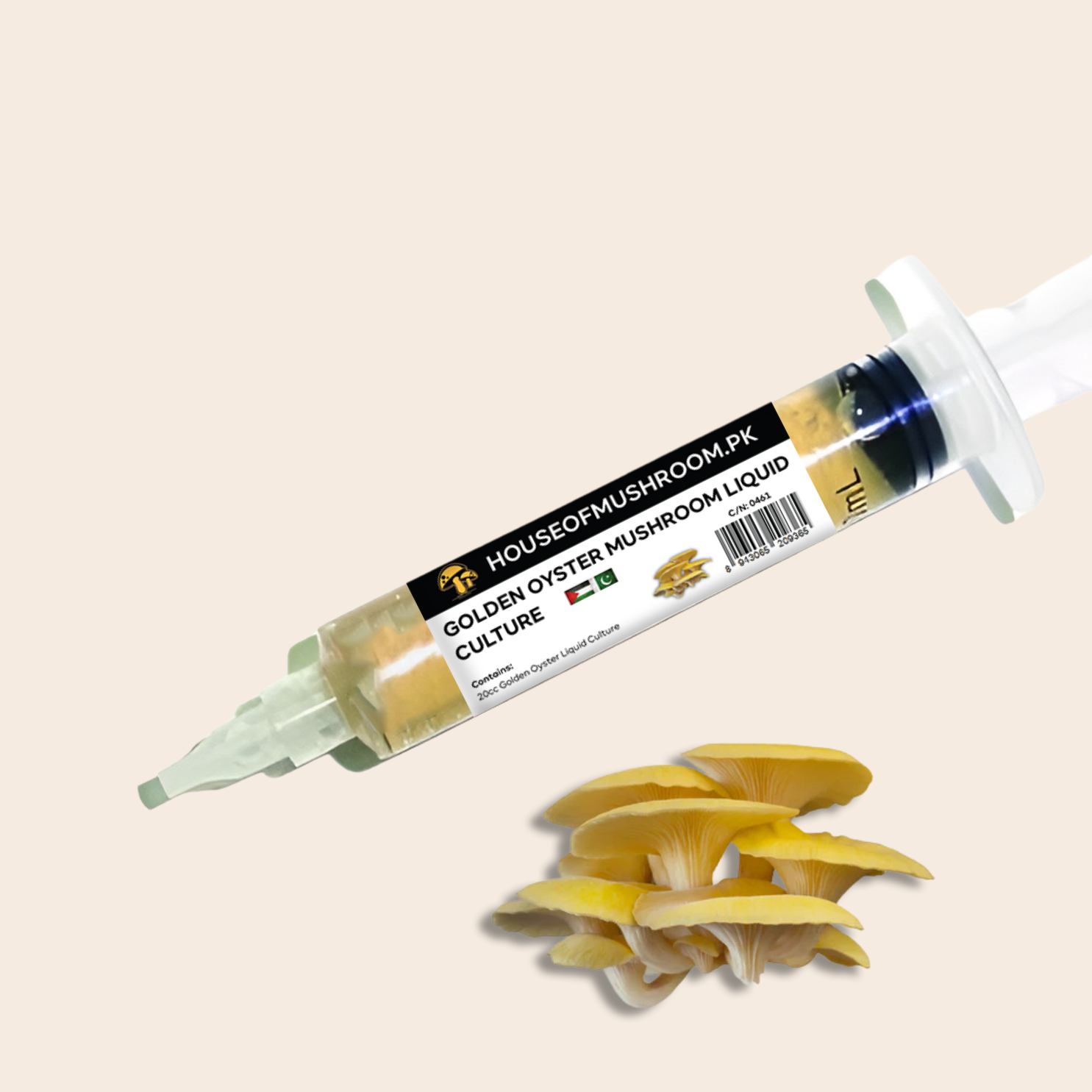 Golden Oyster Mushroom (Pleurotus Citrinopileatus) Liquid Culture Syringe 20cc (C0461)